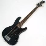 Freedom Custom Guitar Research C.S. Anthra 5st Alder / R Mummy 