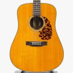 Blueridge  BR-160 *2011
