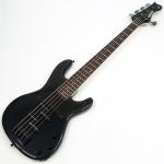 Freedom Custom Guitar Research C.S. Blowzer 5st PP / Mummy MH