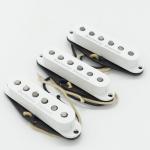 Seymour Duncan セイモアダンカン SSL-1 SET