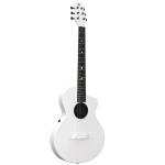 NATASHA GUITAR ナターシャ・ギター ASTEROID NSX RADIANT PERAL