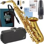YAMAHA ヤマハ 5年保証サポート対象 YAS-62 アルトサックス ラッカー ジャズセットO　以下対応不可 北海道 沖縄 離島 代引き