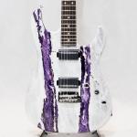 James Tyler Studio Elite HD Rear Rout HH Black Limba Amethyst Shmear ジェームス・タイラー オーダーモデル エレキギター