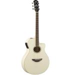 YAMAHA ヤマハ APX600 VW