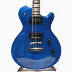 FgN フジゲン EFL-FM / EB