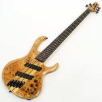 Ibanez アイバニーズ BTB805MS / FNL : Florid Natural Low Gloss
