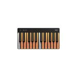 ROLI ローリー Piano M 24鍵フルスペクトル発光鍵盤 スマートピアノ