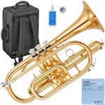 YAMAHA ヤマハ 5年保証サービス対象 YCR-4330GII コルネット B♭ ラッカー ゴールドブラス ショート　以下対応不可 北海道 沖縄 離島 代引き