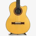 Gibson ギブソン Chet Atkins CE *2001
