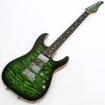 SCHECTER シェクター EX-5B-24-CTM-VTR / GRG / HR