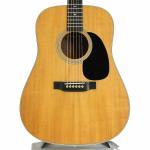 Martin マーチン D-28 *2009