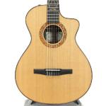 Taylor テイラー JMSM Jason Mraz Signature Model 特価品 ジェイソン・ムラーズ・シグネチャー エレガット エレアコ アコースティックギター