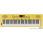 Roland ローランド GO:KEYS 3 Minion GOKEYS3-MI ミニオン 61鍵盤