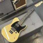 Fender フェンダー Limited Edition Jim Root Telecaster / Shoreline Gold 【OUTLET】 
