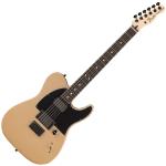 Fender フェンダー Limited Edition Jim Root Telecaster Shoreline Gold アウトレット 特価品 限定 ジム・ルーツ SLIPKNOT テレキャスター 