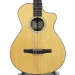 Taylor テイラー 212ce-N Plus