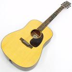 Martin マーチン D-10E Retro