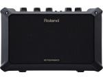 Roland ( ローランド ) MOBILE AC ( モバイルエーシー )　◆Battery Powered Stereo Amplifier 