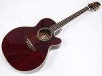 TAKAMINE タカミネ DMP551C WR