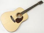 Martin マーチン D-16GT