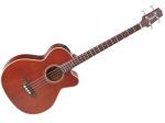 TAKAMINE タカミネ PB5 ANS