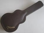 TAKAMINE タカミネ HC-500 500シリーズ用ハードケース