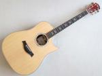 Taylor テイラー 2014 JPN LTD 810Fce-Cocobolo ES1 【1本限り】