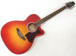 TAKAMINE ( タカミネ ) DMP751C CYS