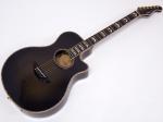 YAMAHA ヤマハ APX-50S CUSTOM < Used / 中古品 > 