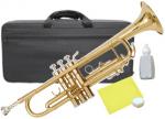 Kaerntner ( ケルントナー ) KTR-30 Gold トランペット ラッカー ゴールド 管楽器 本体 B♭ Trumpets KTR30 gold　北海道 沖縄 離島不可