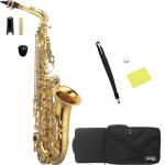 Kaerntner ケルントナー KAL62 アルトサックス ラッカー ゴールド 管楽器 Alto saxophone KAL-62　北海道不可 沖縄不可 離島不可 代引き不可 同梱不可