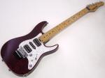 SCHECTER ( シェクター ) SD-2-24-BW (RED/R)