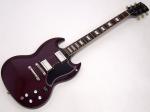 EDWARDS エドワーズ E-SG-100LT2 Cherry < Used / 中古品 >