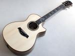 Taylor テイラー Custom GC Sasafras-Lutz "Andy Powers"
