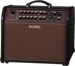 Roland ローランド Acoustic Singer Pro