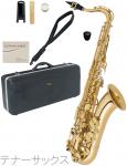 Antigua  アンティグア TS2800 エルドン テナーサックス アウトレット ラッカー ゴールド 管楽器 eldon tenor saxophone　北海道 沖縄 離島不可