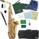Kaerntner ケルントナー KAL62 アルトサックス ラッカー ゴールド 管楽器 Alto saxophone KAL-62 セット B　北海道不可 沖縄不可 離島不可 代引き不可 同梱不可