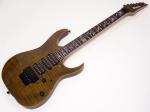 Ibanez アイバニーズ RG8570 TGE