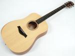 Taylor ( テイラー ) Academy 10e