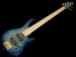 STR GUITARS LS548 #443