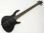 Epiphone ( エピフォン ) Toby Deluxe V(EB) エレキベース スタートパック13点セット【  初心者 入門 セット 】
