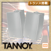 TANNOY ( タンノイ ) DVS4t W/ホワイト (ペア)  ◆ フルレンジスピーカー・全天候型