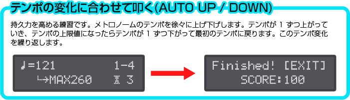 AUTO UP/DOWN