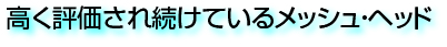 高く評価されているメッシュヘッド