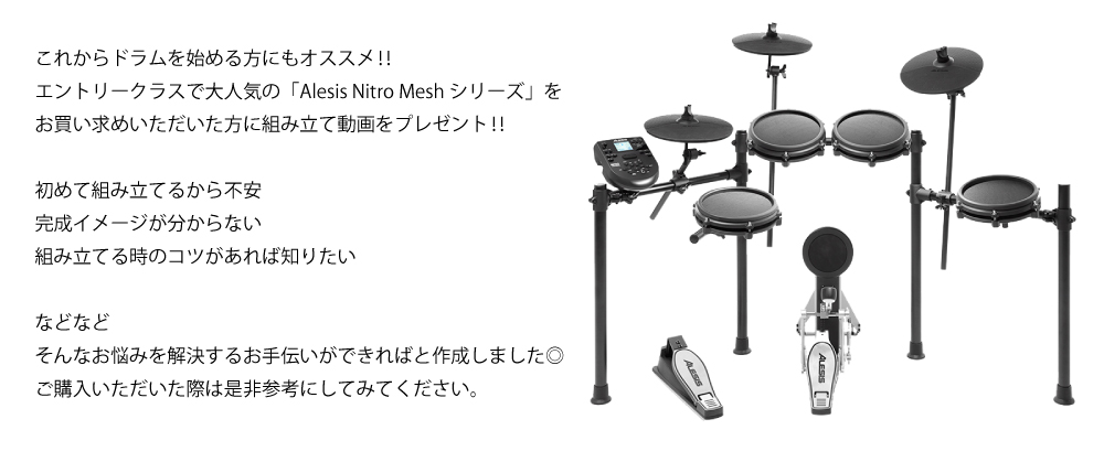 Alesis Nitoro Mesh Kit