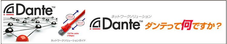 Danteとは : ネットワークソリューション = ダンテの解説 使い方 ガイド =