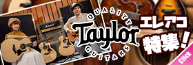 Taylor Guitar 特集