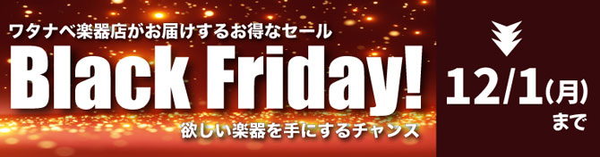 BLACK FRIDAY SALE！